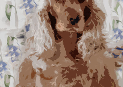 Tiere