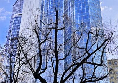 Architektur
