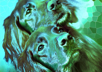 Tiere