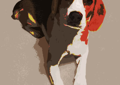 Tiere
